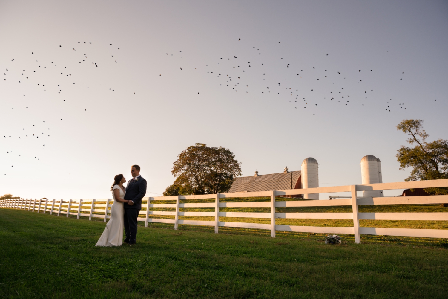 Tusculum Farm field and birds migration wedding photos