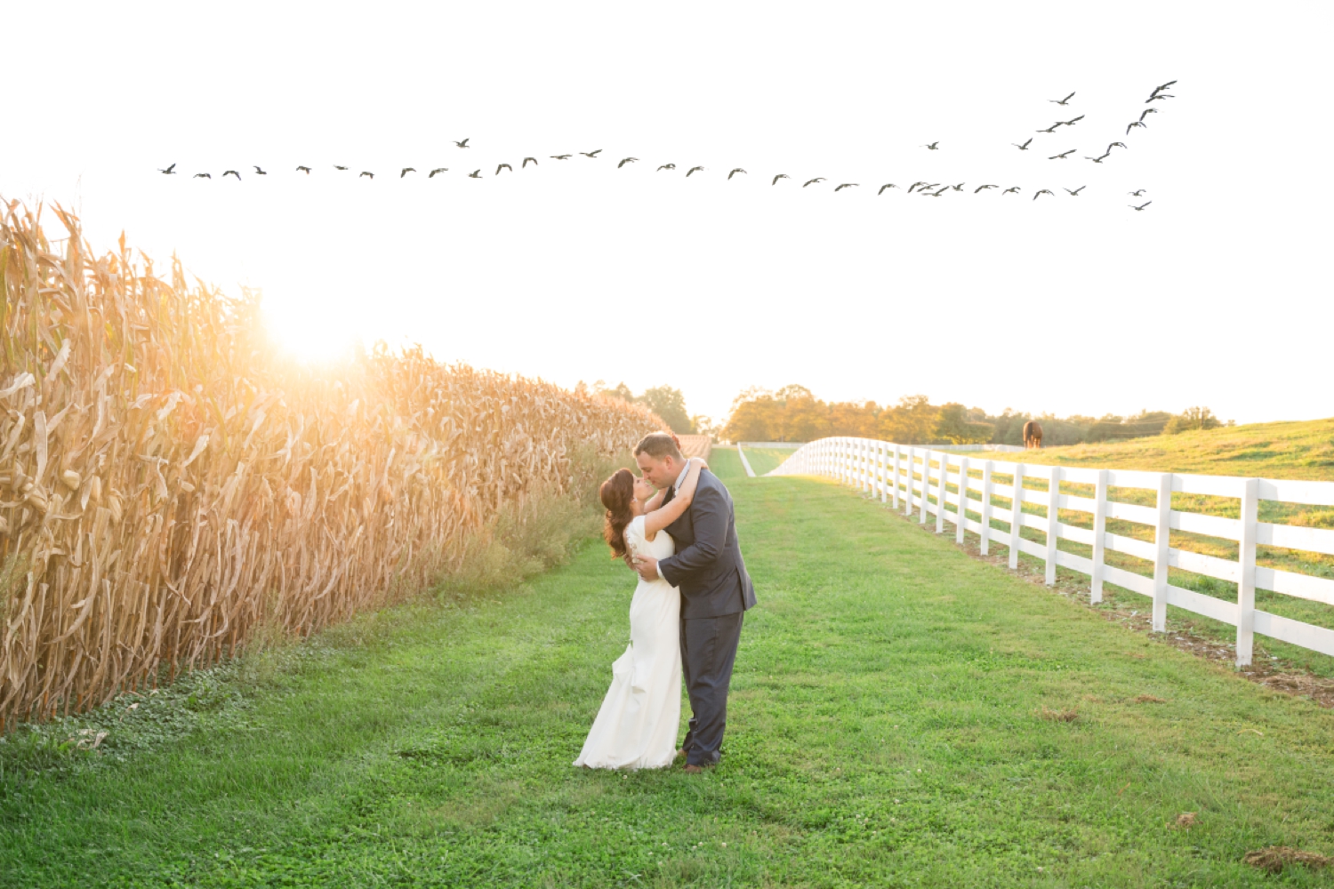 Tusculum Farm field and birds migration fall wedding photos