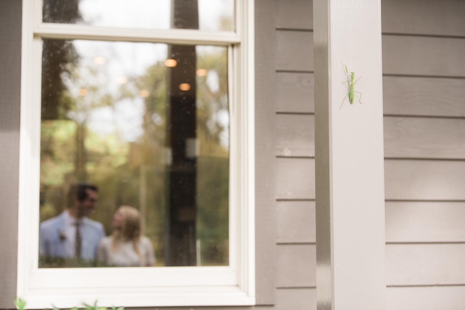 Cockeysville Micro wedding couple in the window