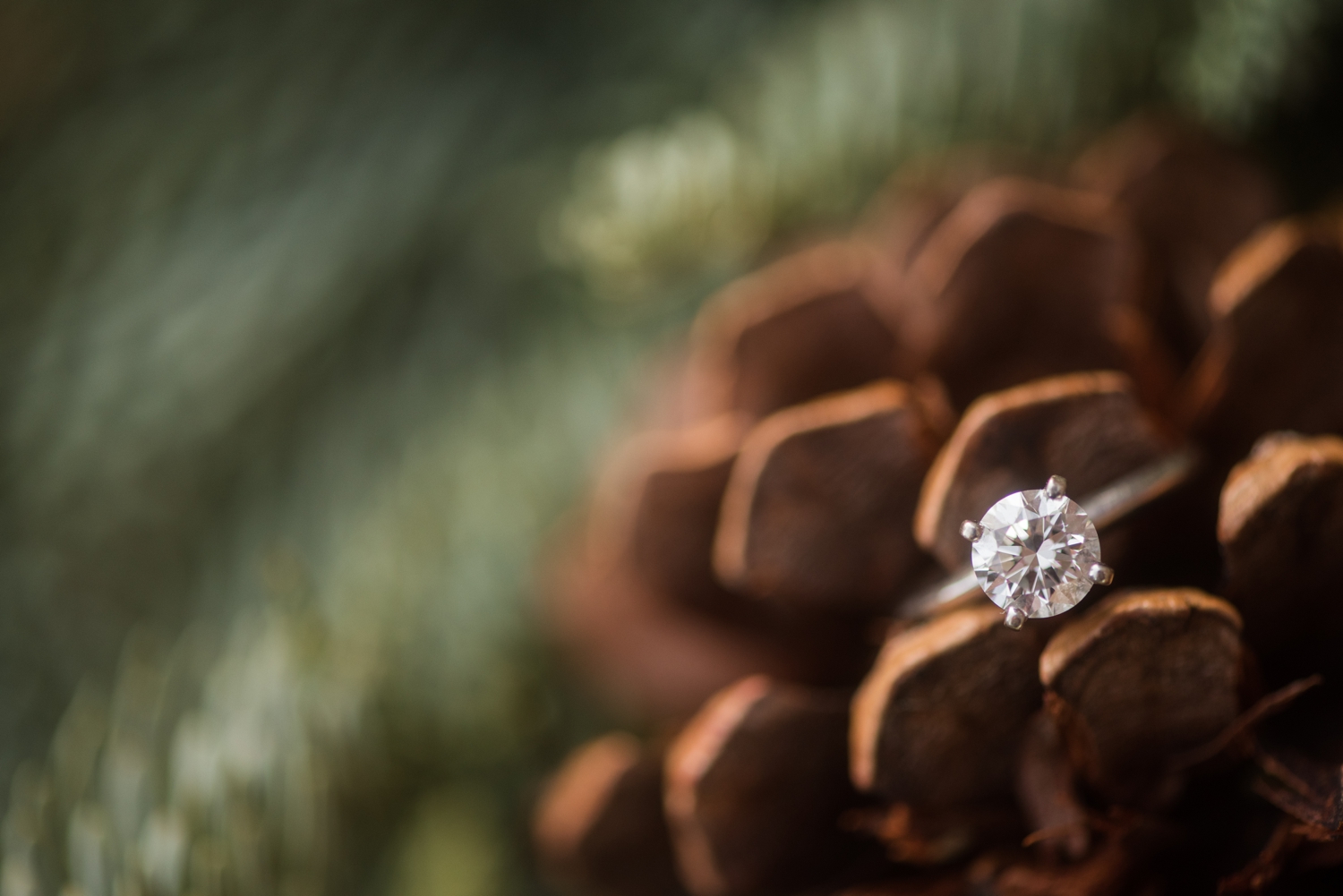 Winter Annapolis Engagement Photos