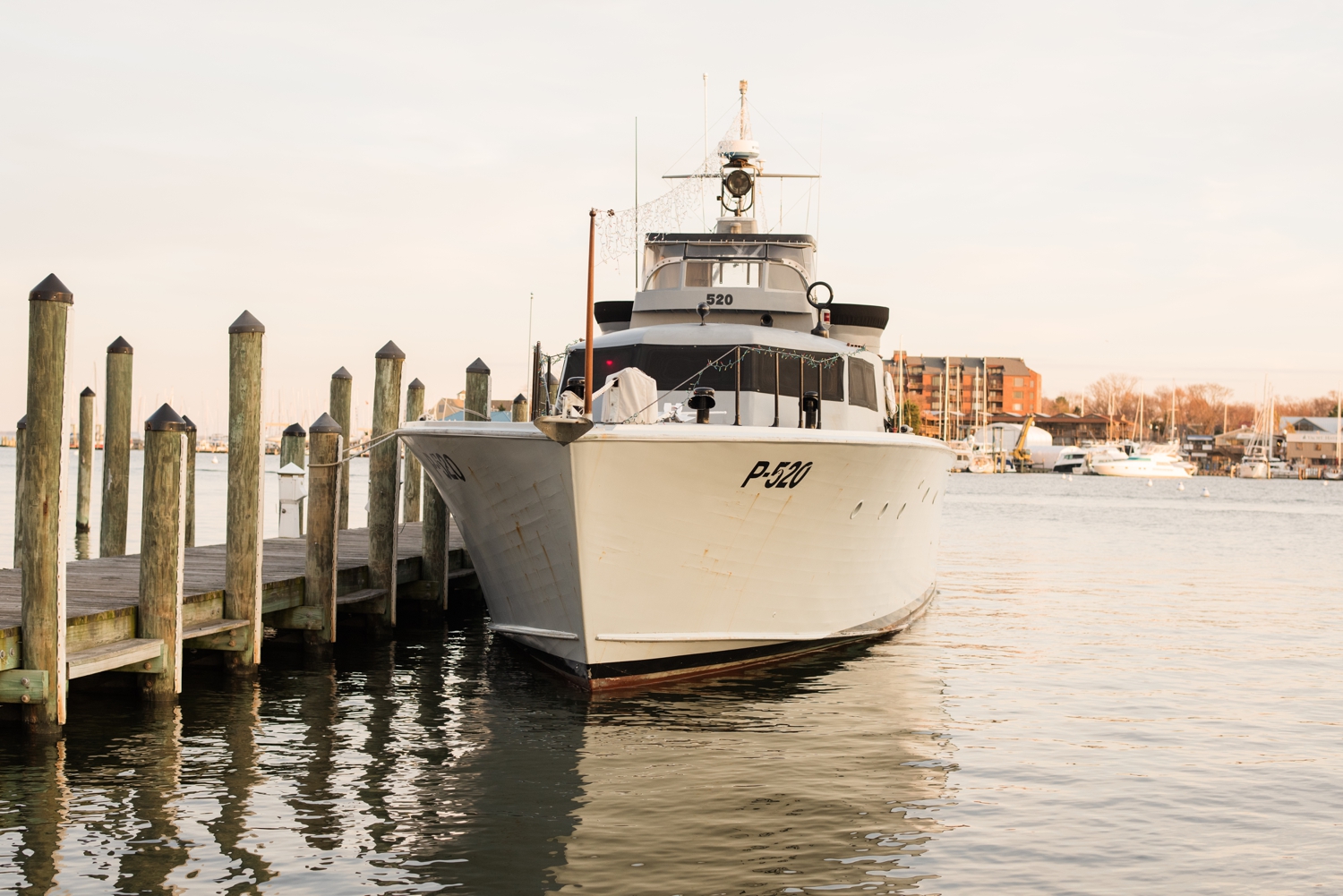 City Dock annapolis engagement session