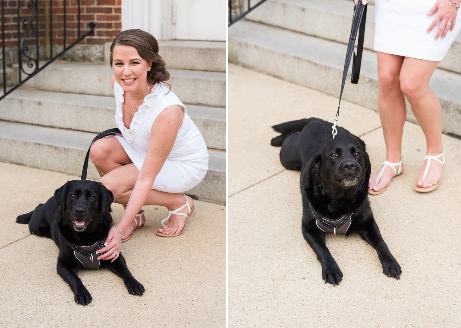 bride posing with her black lab dog