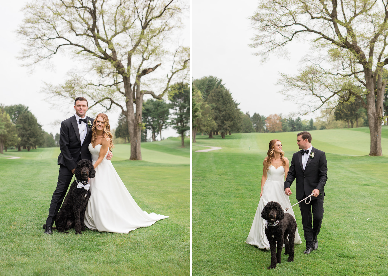 bride and groom with their dog 