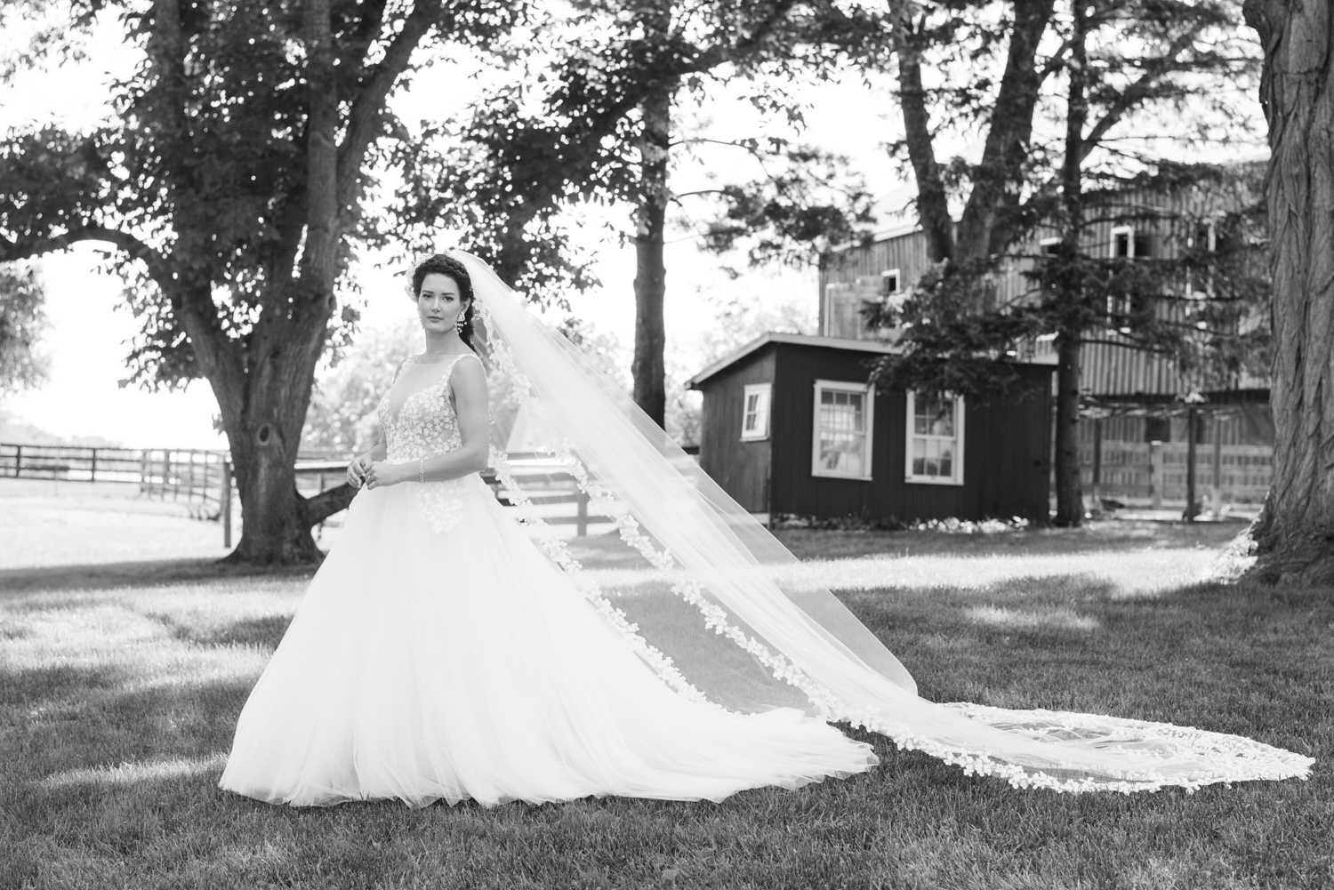 bride poses with veil