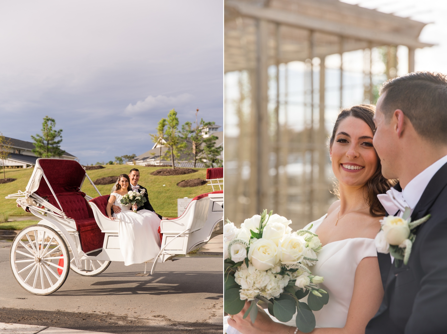 bride and groom with horse and carriage