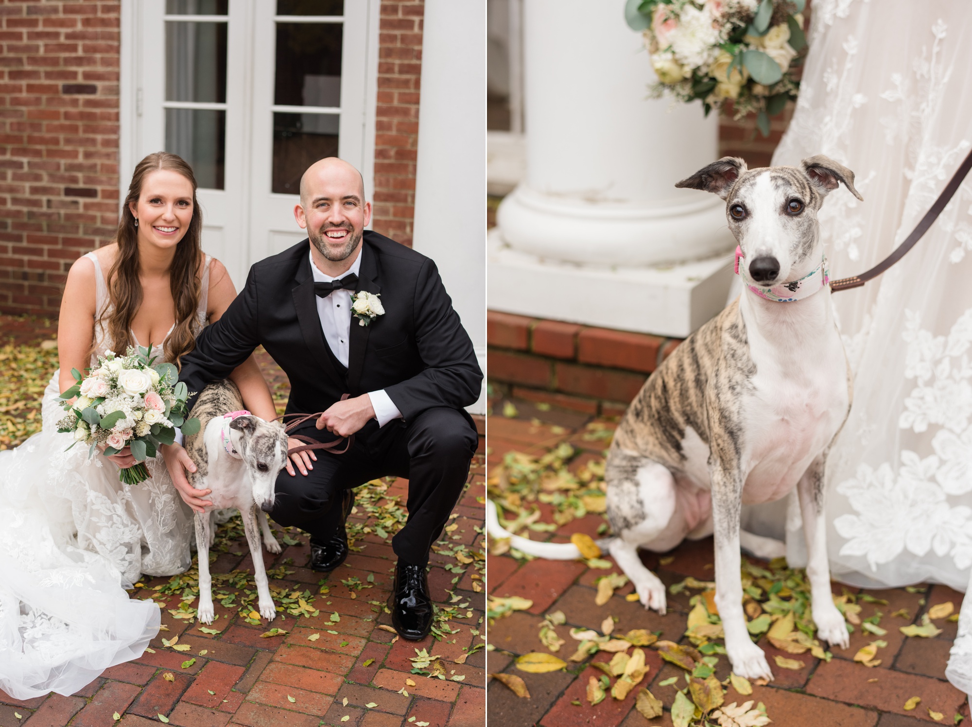 Winter Tidewater inn wedding photo with couples dog