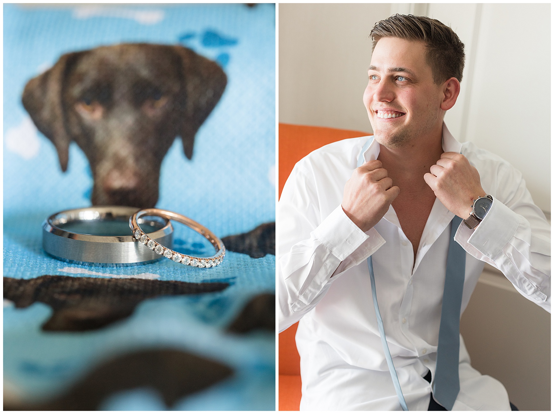 groom getting ready rings socks with dog