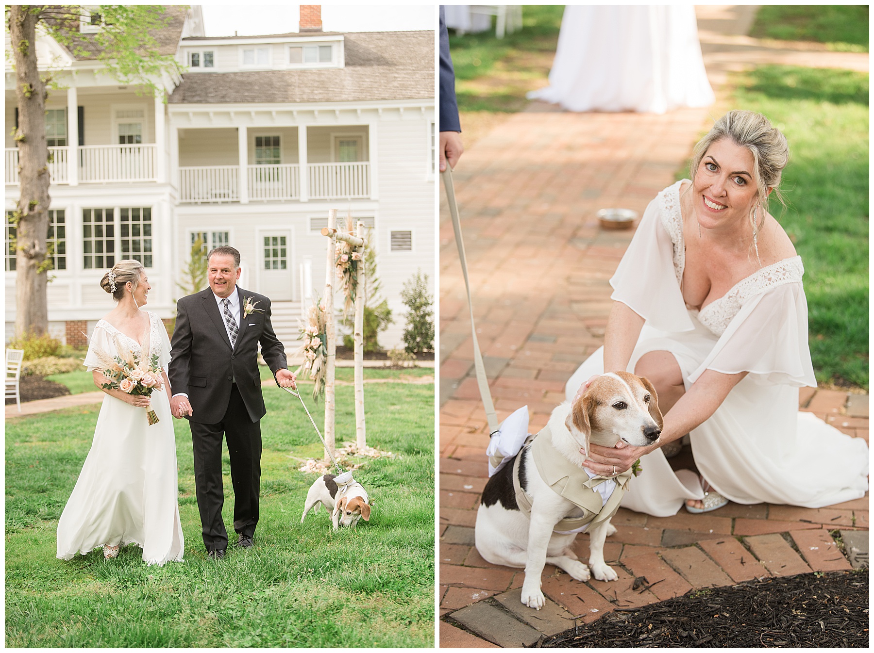 bride and groom with dog