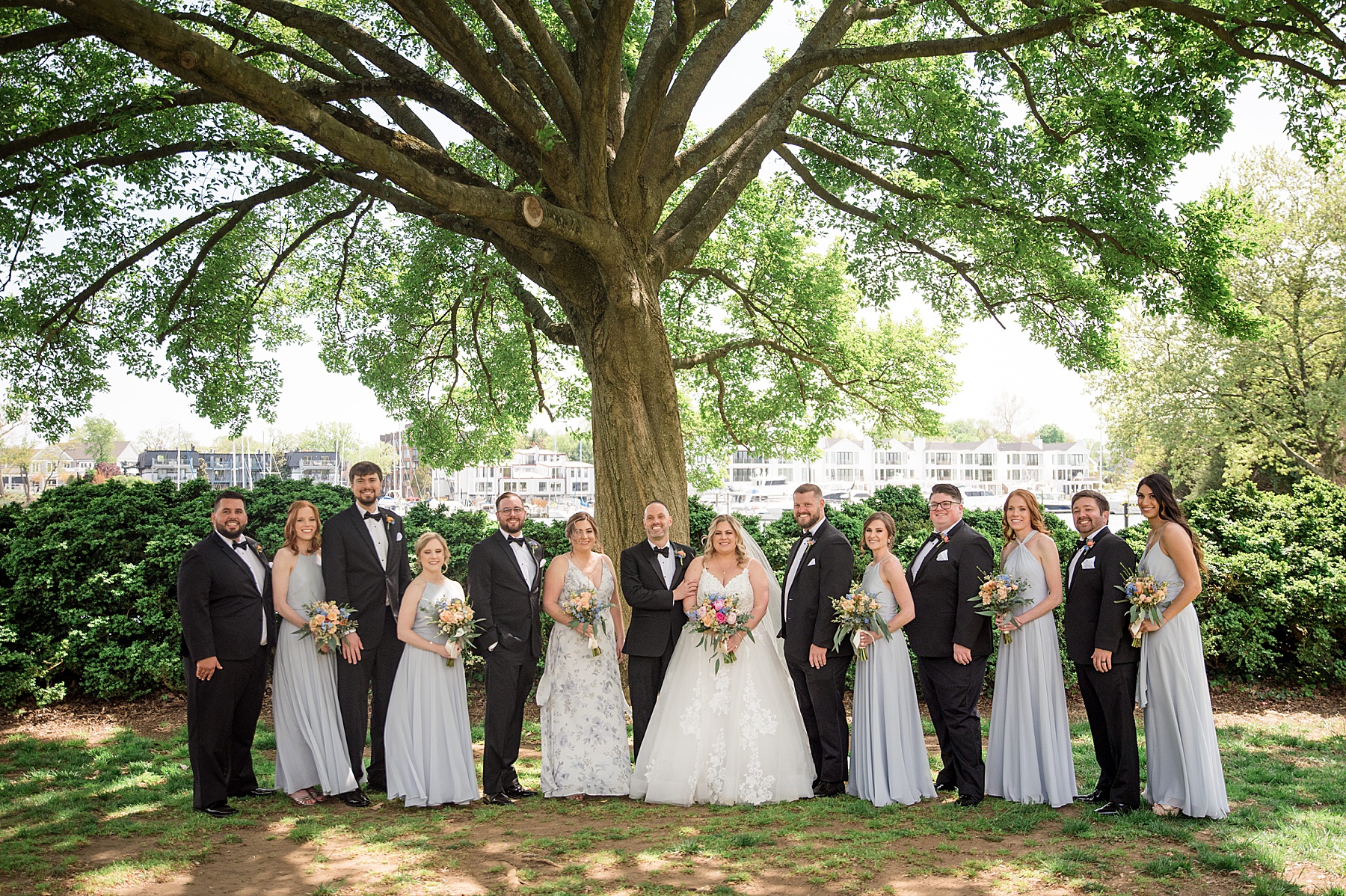 full bridal party under tree