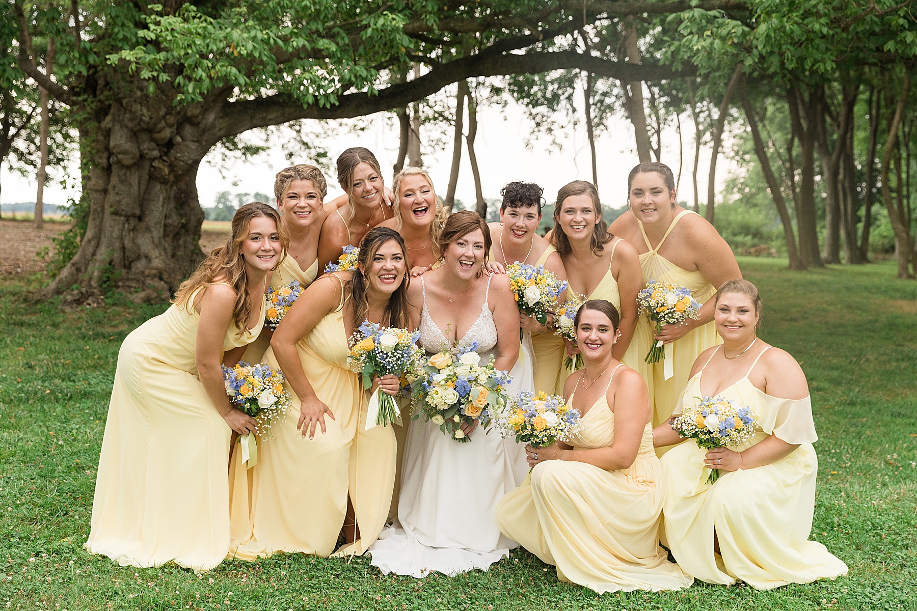 bride and bridesmaids yellow