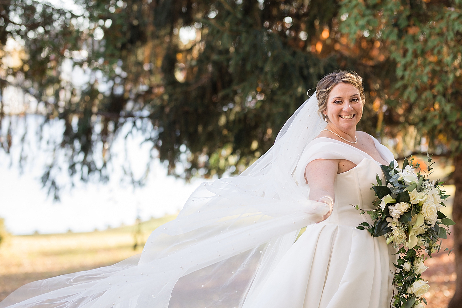 bridal portrait veil