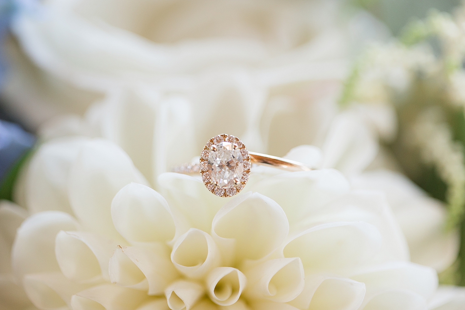 engagement ring on white flower