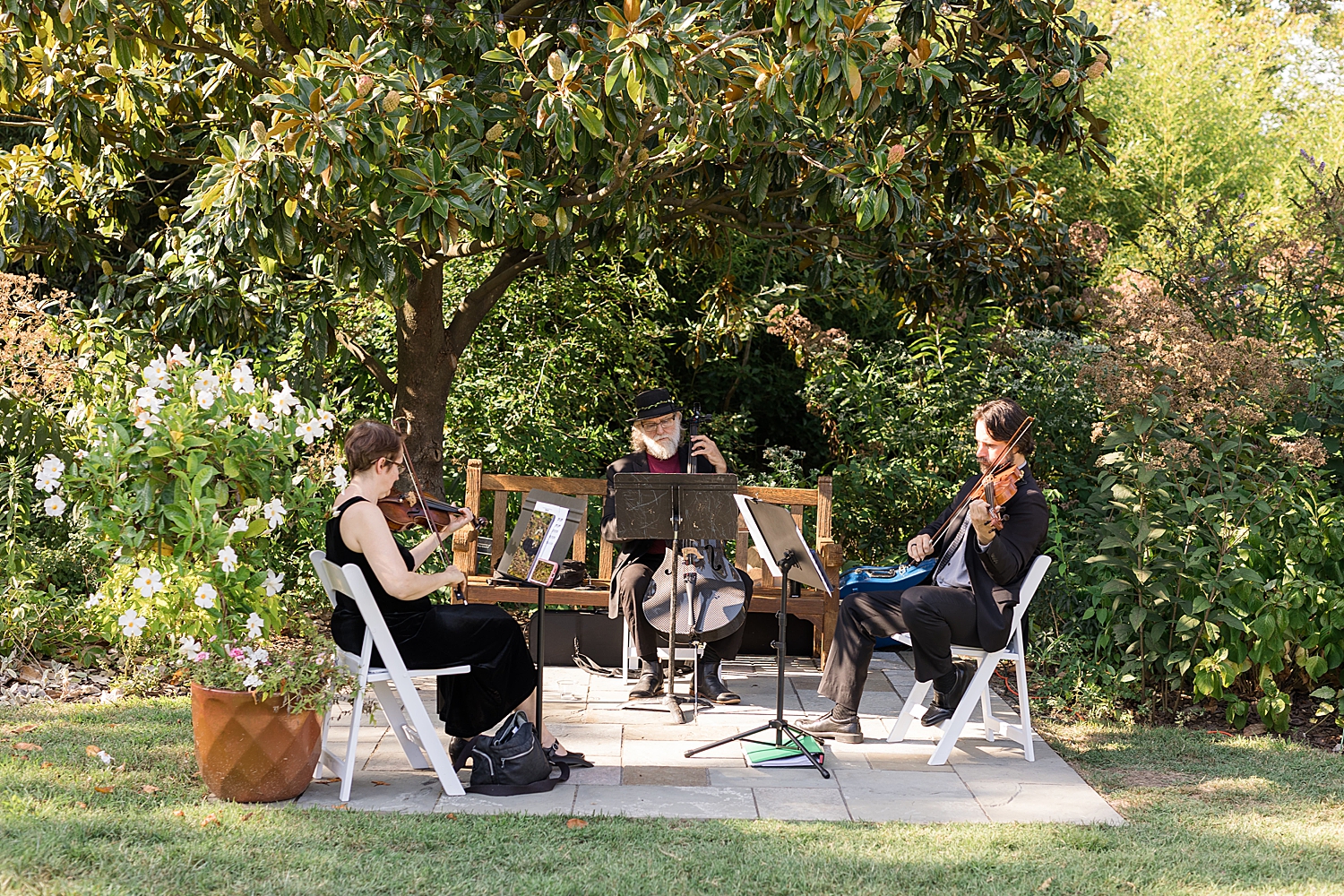 orchestra plays for ceremony