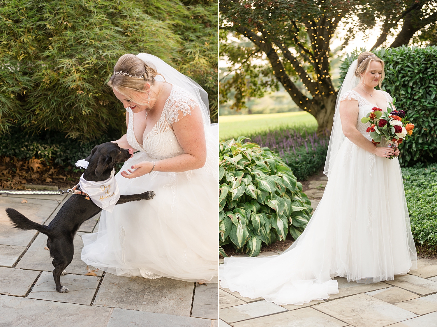 bridal portrait with dog