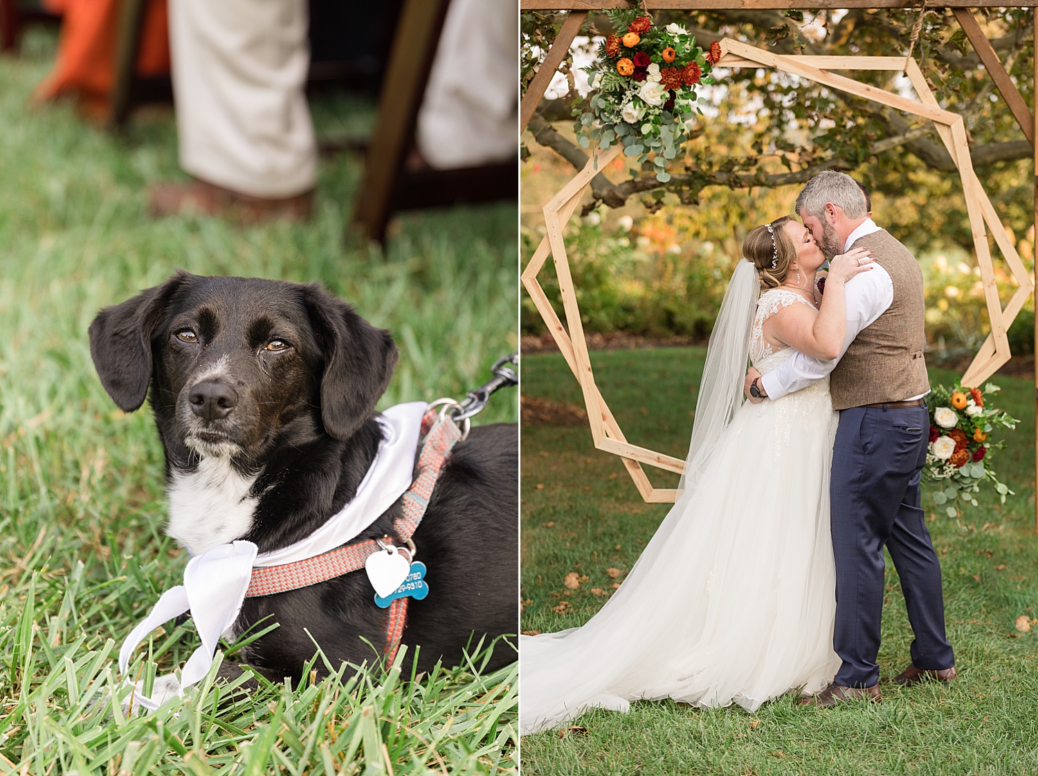 bride and groom dog first kiss