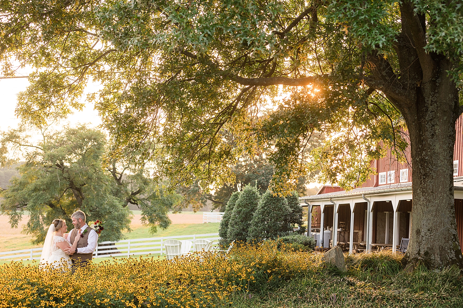 bride and groom embrace under glowy light tree