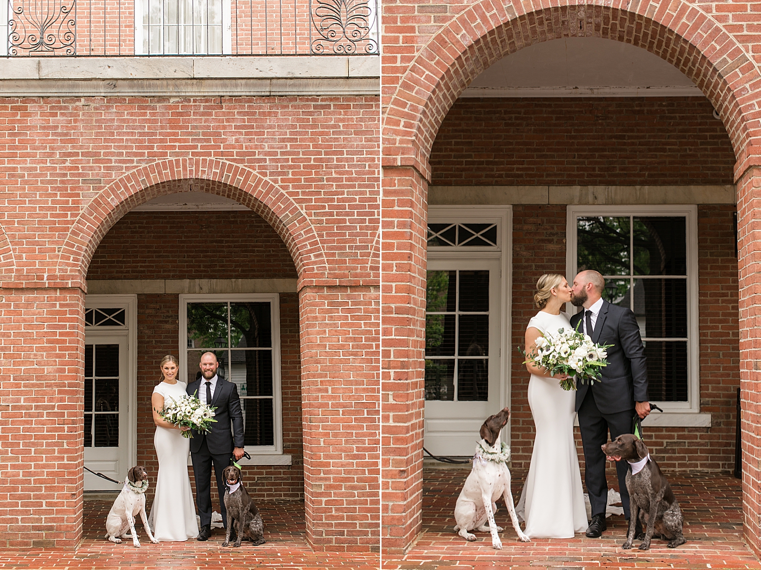 bride and groom kiss with dogs