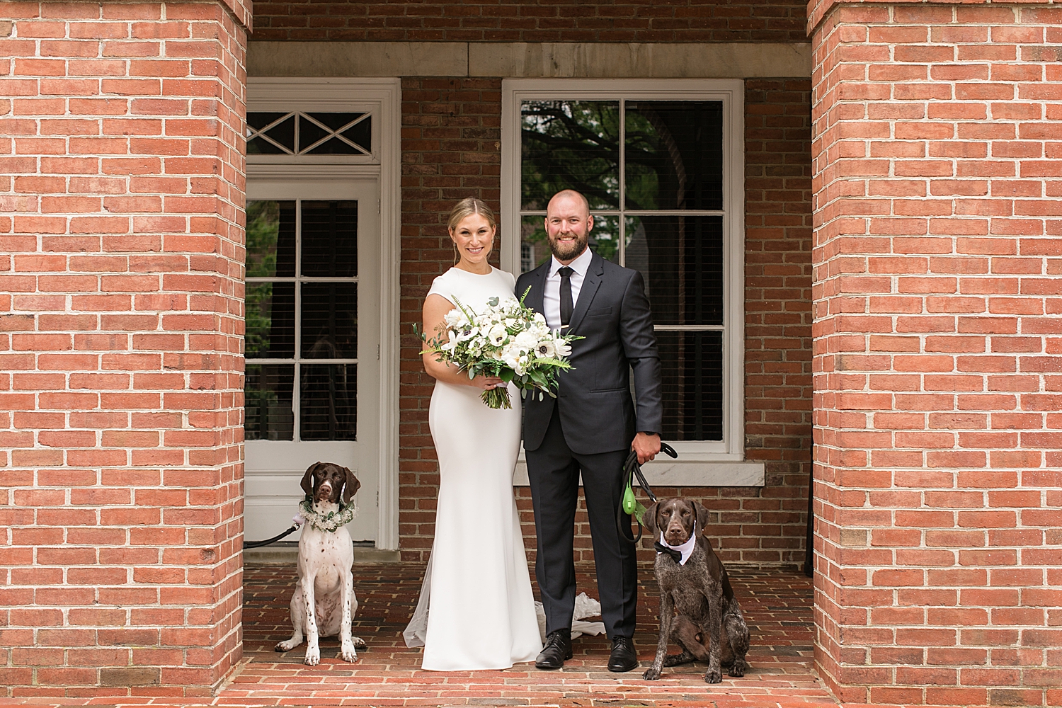 bride and groom with dogs