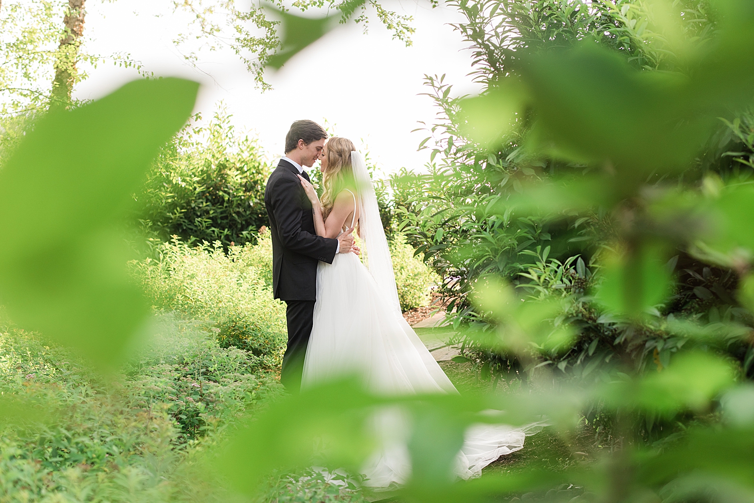 bride and groom kiss, shot through leaves