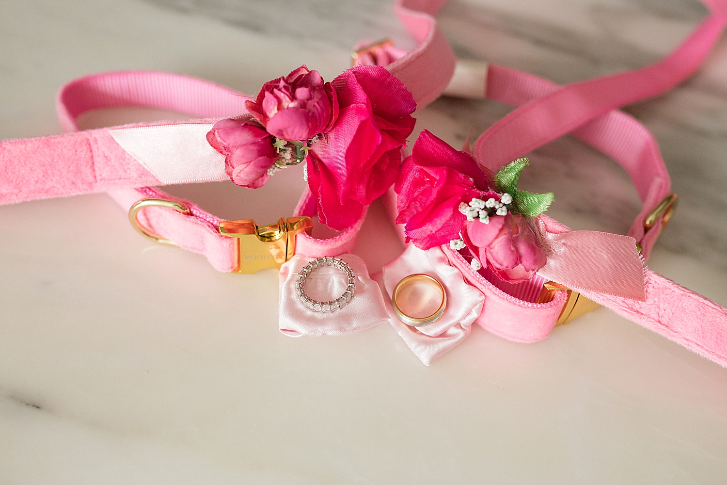 rings on pink dog collars