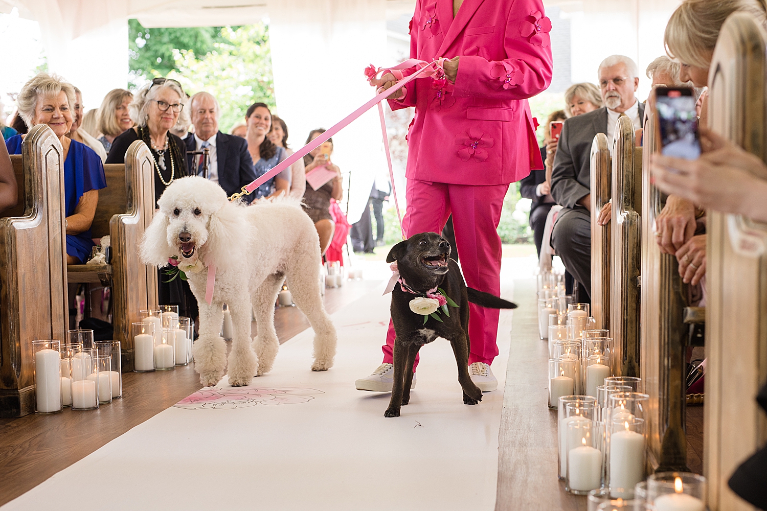 dogs are walked down the aisle