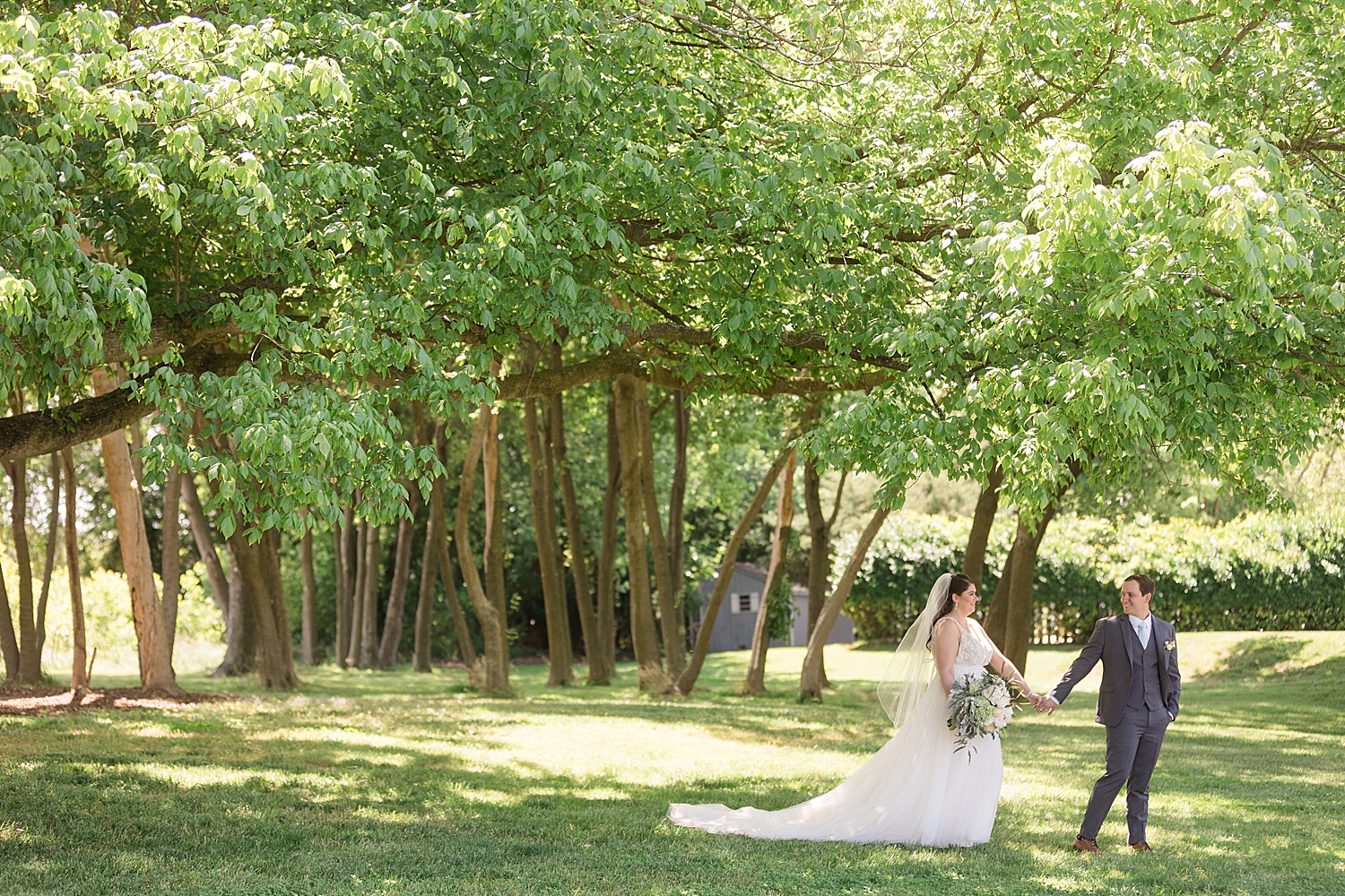 groom leading bride walking under trees