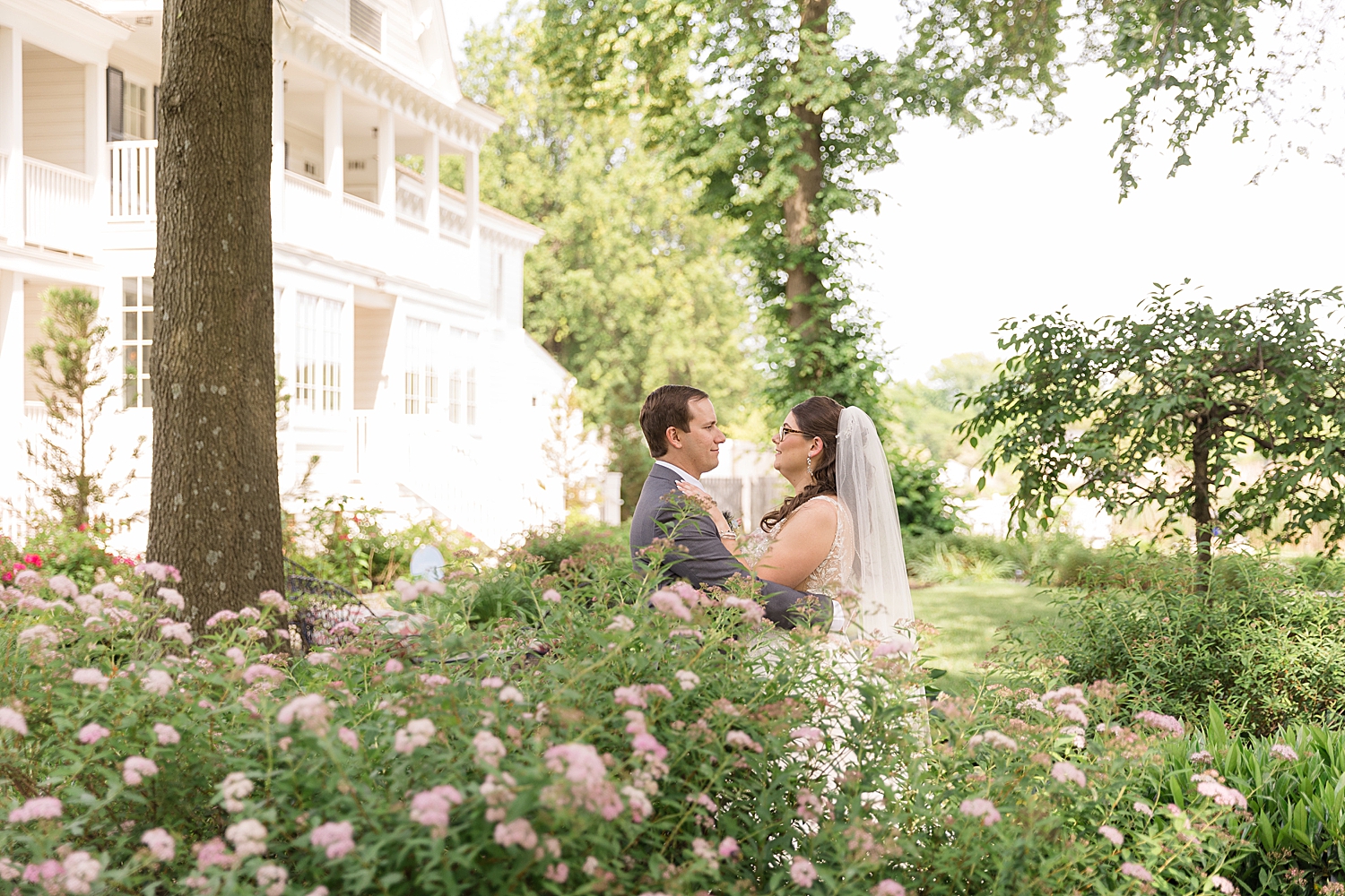 couple's portrait through the bushes