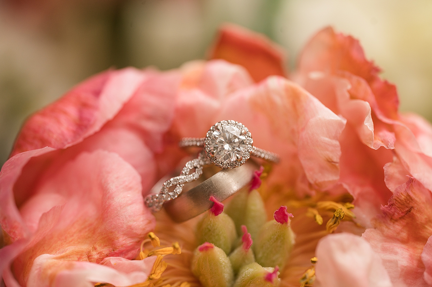 wedding rings in pink bouquet