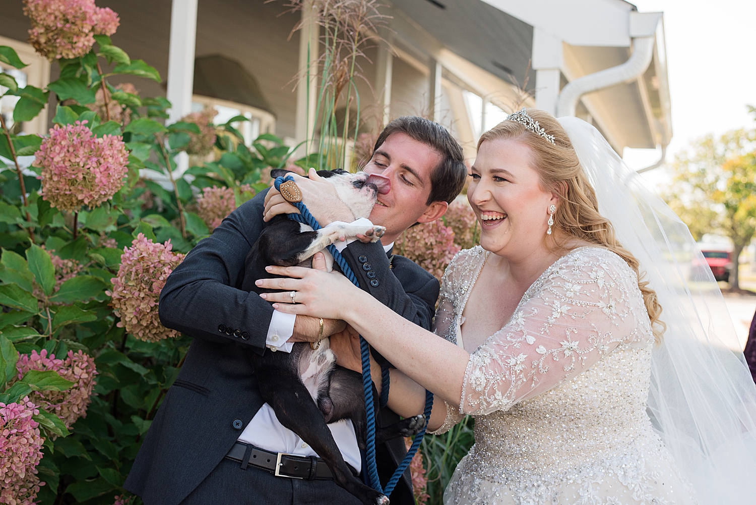 bride and groom with pup kisses