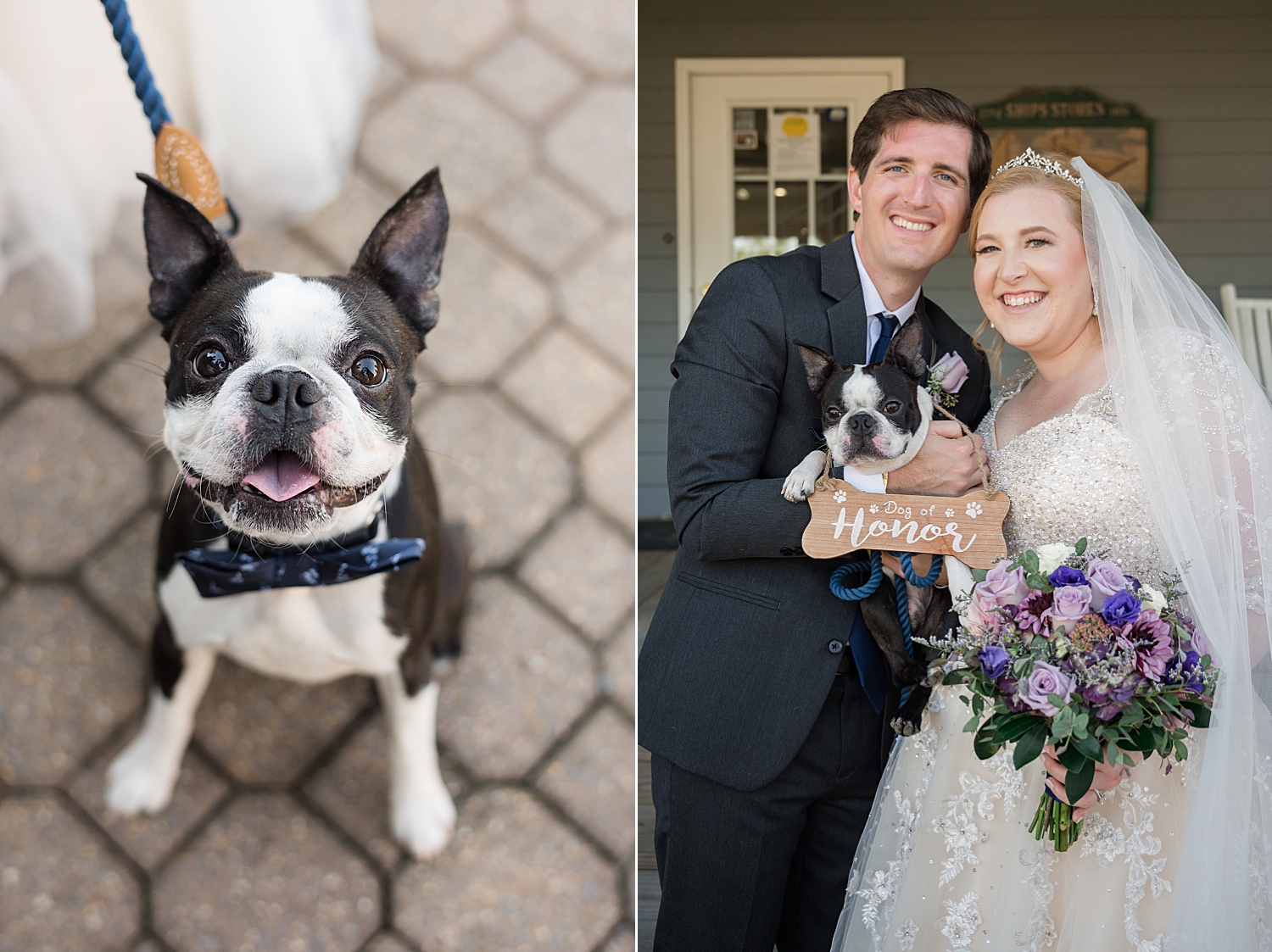 bride and groom with pup