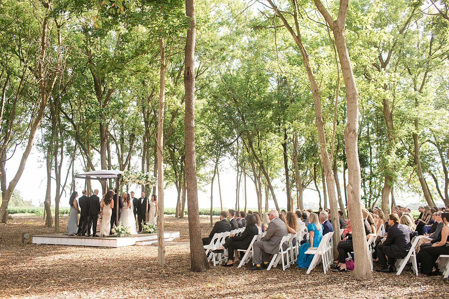 eastern shore wedding ceremony in the woods