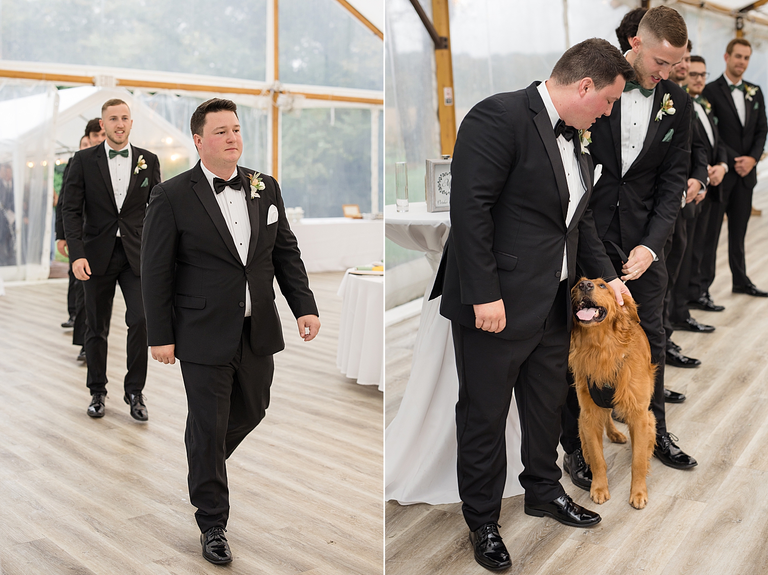 groom enters ceremony and stands with dog, Bo