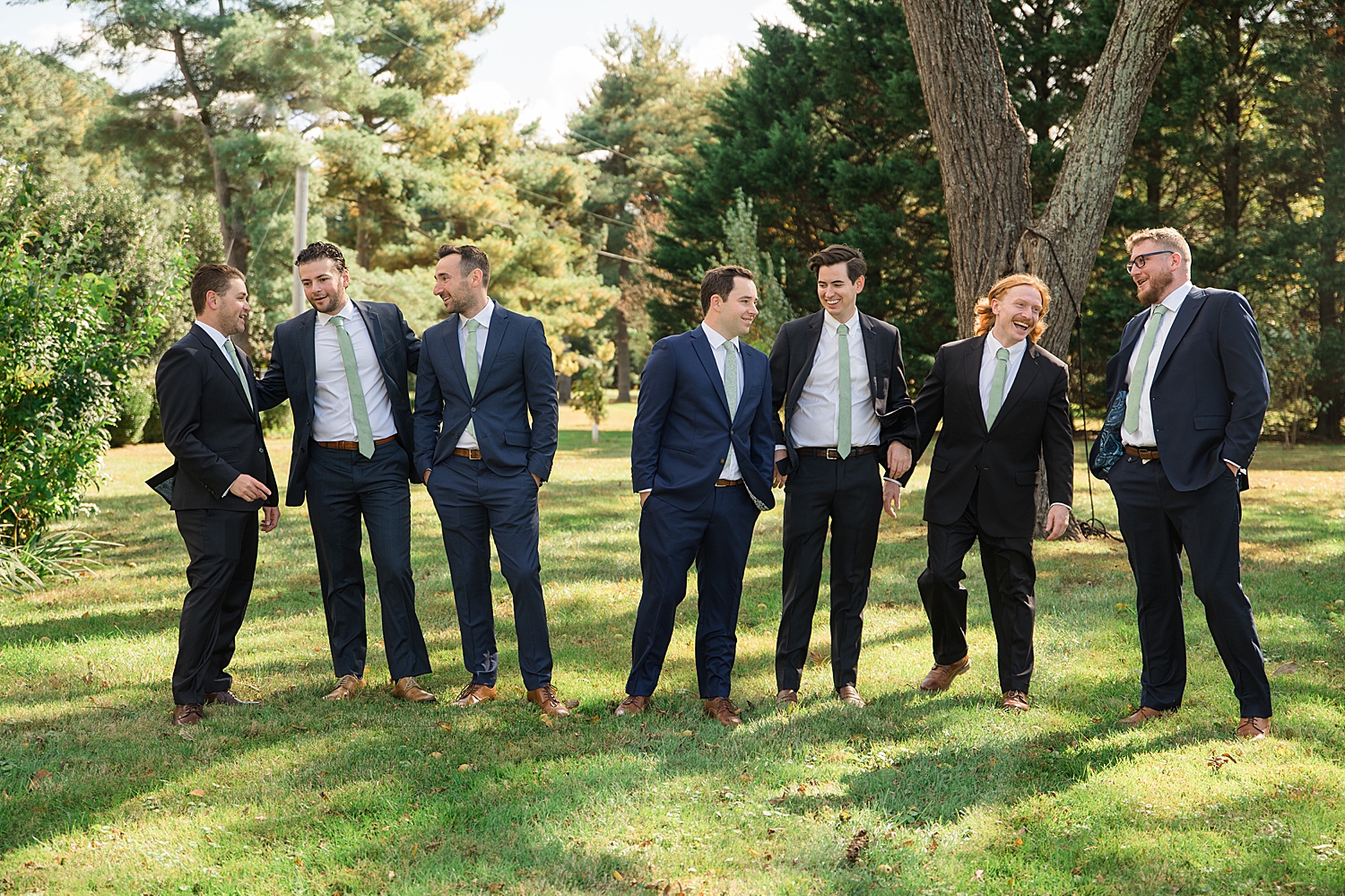 groom and groomsmen portrait